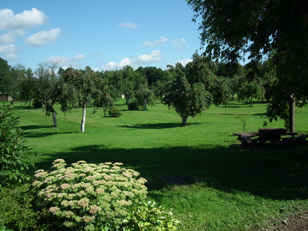 Cia nesakysiu kur...